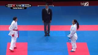 Finale Championnat du Monde karate 2014  Egipte Vs France 1 [upl. by Bass]