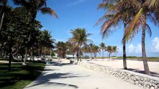 Lummus Park South Beach  Miami Beach FL [upl. by Cita]