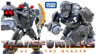 Transformers RISE OF THE BEASTS Exclusive ULTIMATE OPTIMUS PRIMAL Review [upl. by Arabele]