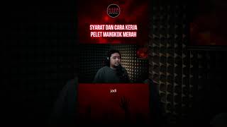 Syarat dan cara kerja pelet mangkok merah podcast mesincetakpelet mistis pelettatapanmata [upl. by Hanonew]