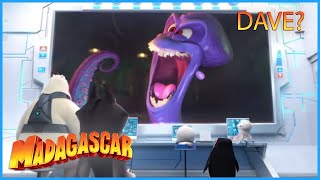 DreamWorks Madagascar  Youre On Mute 🔇  Penguins of Madagascar Clip [upl. by Latrice999]