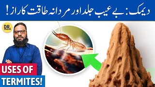 Deemak Ke Dawa Me IstemalFayde  Termites Uses in Medicine amp Benefits  Dr Ibrahim [upl. by Jahncke]