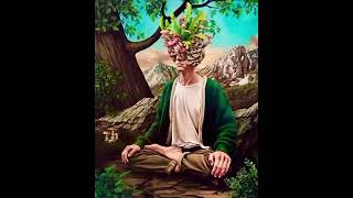 Best Psychedelic Songs 29 medicina indianmusic psychedelic LSD dmt mushroom [upl. by Pearce]