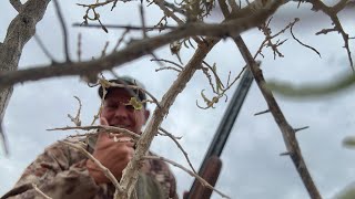 Dove season opens today Boise Idaho [upl. by Kcajyllib]