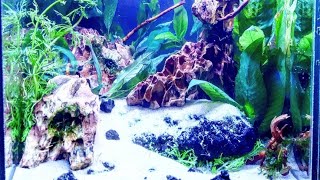 Aquascaping nano aquarium 30x30x30 تحضير حوض سمك [upl. by Jerrol]