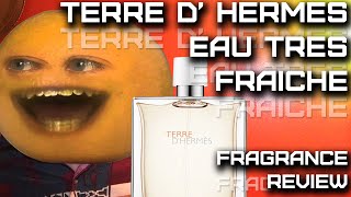 Terre D Hermes Eau Tres Fraiche by Hermes Mens Fragrance Review [upl. by Ahsrop]