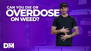 Can You OverdoseDie On Weed  DistroMike [upl. by Otila]