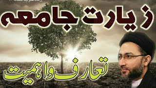 Ziarat e Jamia ka taruf o ehmiatAllama Syed Shehanshah Hussain Naqvi [upl. by Sewoll]