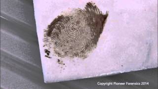 Amido Black 10B Process for Bloody Fingerprints [upl. by Palocz]