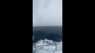 Ocean lightning strike near Jupiter during strong storms [upl. by Beacham615]