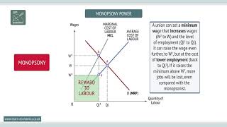 Monopsony [upl. by Aimo]