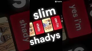 the real slim shady song [upl. by Enelrad]