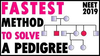 SOLVE Any PEDIGREE In Just 2 STEPSNEETNTA Short Trick For GENETICS Class 12NEET 2020 [upl. by Anihtyc390]