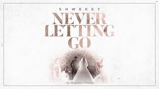 יעקב שוואקי Yaakov Shwekey  Never Letting Go [upl. by Nosduj]