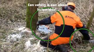 Lichte velling met de motokettingzaag [upl. by Willms]