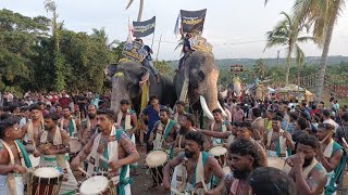 ചിറക്കൽ കാളിദാസനും പാമ്പാടി രാജനും പോർക്കുളം ഗജസംഗമത്തിലേക്ക് 💞 pambadirajan chirakkalkalidasan [upl. by Emiolhs]