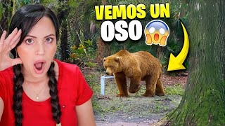 UN OSO ENORME en la Finquita Bonita 😱 Sandra Cires Vlog [upl. by Brandi580]