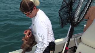 2013 Cobia Fishing Tournament Homosassa Florida [upl. by Asiak141]