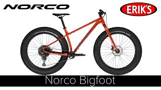 Norco Bigfoot [upl. by Ballinger]