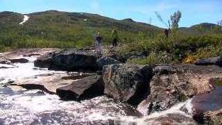 Fjellvåken2  Mogen  Hardangervidda [upl. by Teodora]