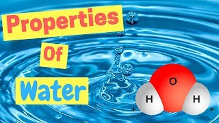 Properties of Water  Polarity  Hydrogen Bonds  Adhesion amp Cohesion [upl. by Irahs283]