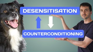 Desensitisation and Counterconditioning for Dogs [upl. by Ahsaele969]