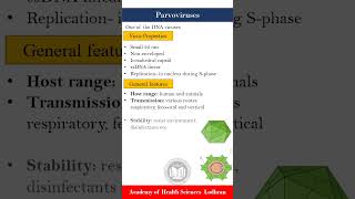 Overview of Parvoviruses  Virology  by Imran Yaseen [upl. by Mcdade]