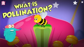 What Is Pollination  POLLINATION  The Dr Binocs Show  Peekaboo Kidz [upl. by Aynod]