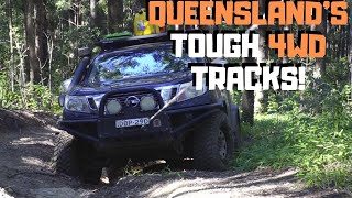 KENILWORTHIMBIL STATE FOREST 4WD TRIP 2019 [upl. by Lien]