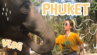 Phuket Vlog  泰国普吉岛旅行日记  大象来啦 [upl. by Davy]