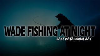 Wade Fishing AT NIGHT East Matagorda Bay [upl. by Akiemahs]