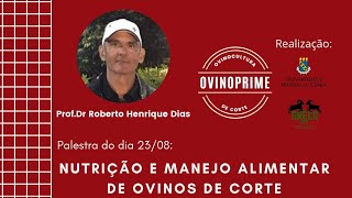 NUTRIÇÃO E MANEJO ALIMENTAR DE OVINOS DE CORTE OvinoPrime [upl. by Mathews26]