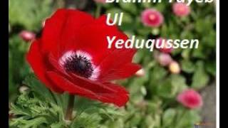 BRAHIM TAYEB  Ul yeduqussen [upl. by Adyaj534]