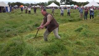 Scythe Festival 2016 Eight mowers mowing [upl. by Baniez734]