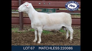 LOT 67 COBAR [upl. by Anilah]