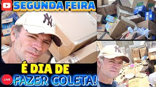 SEGUNDA FEIRA É DIA FAZER COLETAoleta na segunda feira de FHM RECICLAGEM [upl. by Odranreb]