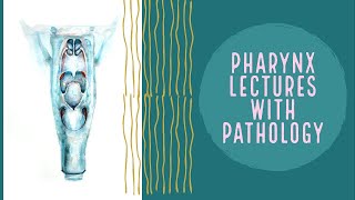 PHARYNX lecture 1 ANATOMY AND PHYSIOLOGY OF PHARYNX made easy [upl. by Ajtak377]