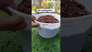 Soil mix for seed germination gardening shorts youtube plantscorner seeds [upl. by Ducan]