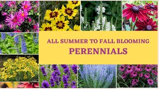 Best Perennial Flowers  All Summer Perennials  Perennials for that bloom all season  House Talks [upl. by Jeremy]