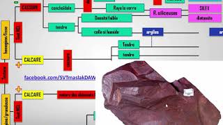 Classification des roches sédimentaires svt 1 ac BIOF Partie 2تصنيف الصخور الرسوبية بالفرنسية [upl. by Andromede249]