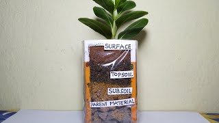 Layers of Soil TLM  science projects [upl. by Nadeau]