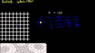 14 Basic Circuits 2  Lateral Inhibition Illusions [upl. by Christabel571]