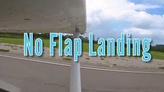 No Flap Landing  Epic Flight Academy [upl. by Lory622]