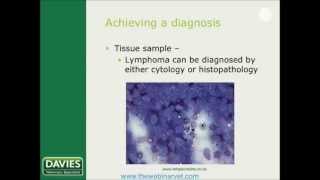 Lymphoma in cats and dogs Which protocol by Shasta Lynch [upl. by Acireit]