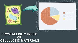 Calculating the crystallinity index CrI of cellulose using Segals Equation [upl. by Eelarac118]