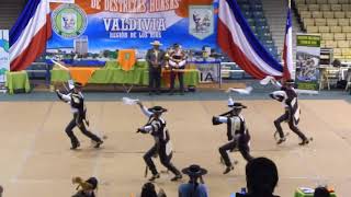 Campeones nacionales destreza huasa al florear de sus pañuelos de coyhaique valdivia 2017 [upl. by Ttej396]