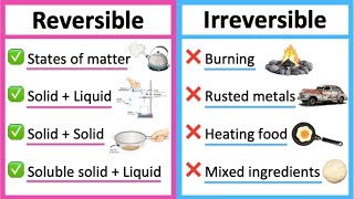 Reversible vs irreversible changes 🤔  Whats the difference  Learn with examples [upl. by Oina976]