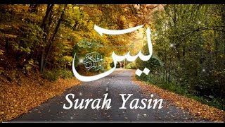 SURAH YASIN  The heart of the Quran  Mishary Rashid Alafasy [upl. by Stefania]