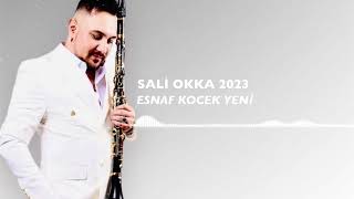 SALİ OKKA 2023  ESNAF KOCEK YENİ [upl. by Kareem]