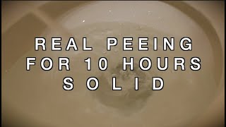 Peeing Sound for TEN HOURS  Sound to Make You Pee  High Quality Recording [upl. by Zorana]